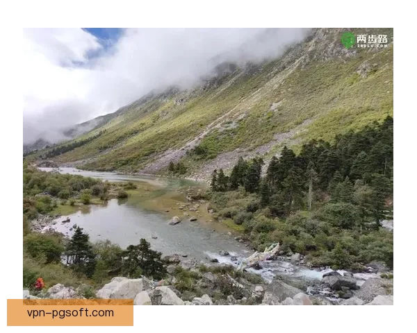 2026世界杯推出创新草坪自热排水技术提升比赛场地表现